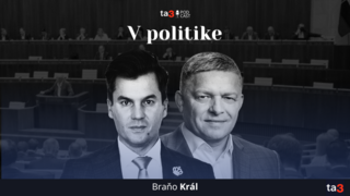 Podcast V politike (12).png