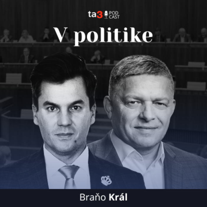 Podcast V politike (12).png