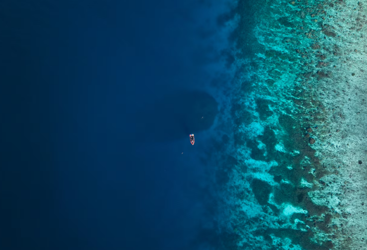 Manu San Félix, National Geographic Pristine Seas