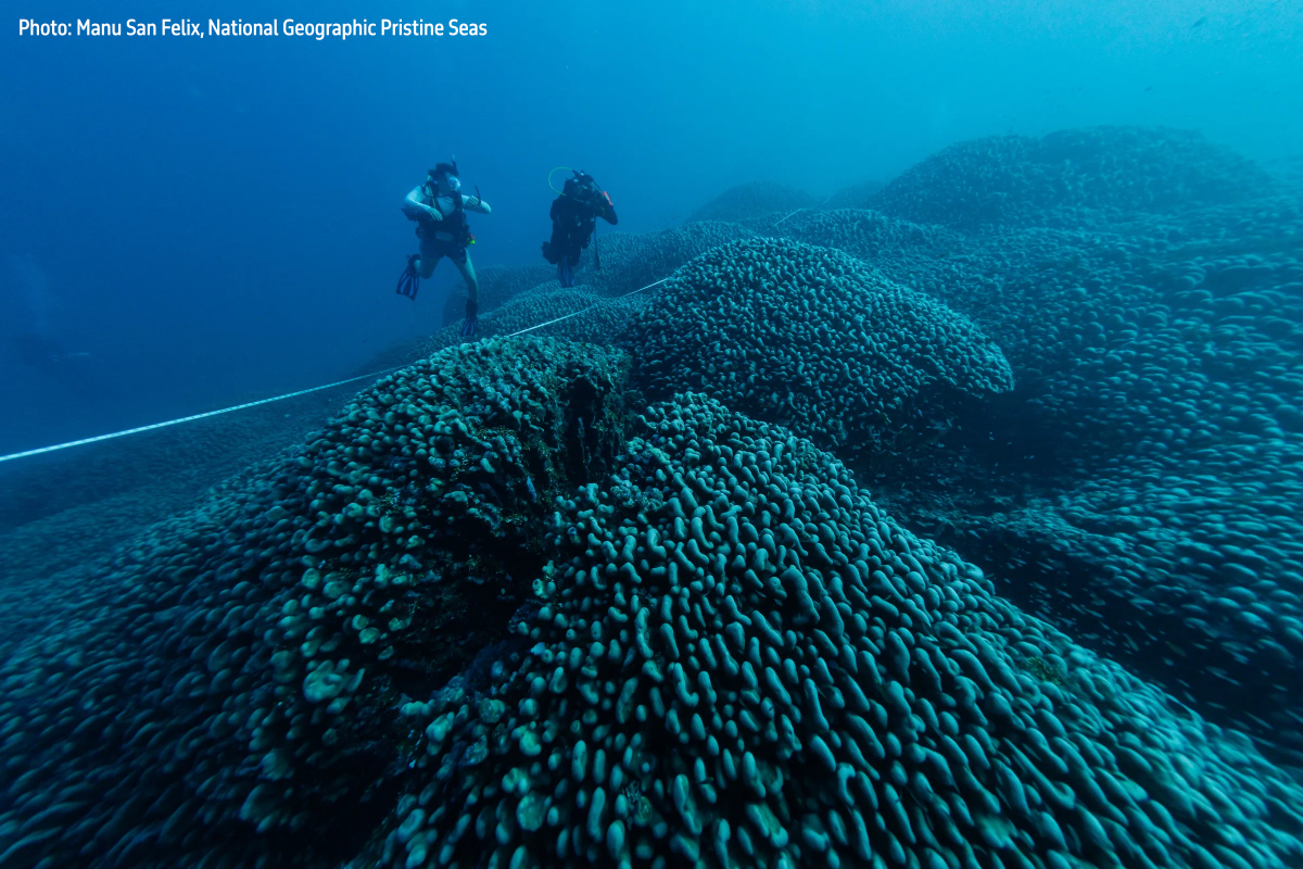 Manu San Félix, National Geographic Pristine Seas