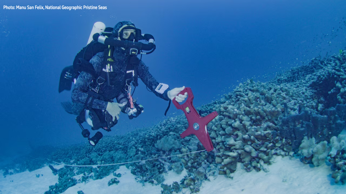 Manu San Félix, National Geographic Pristine Seas