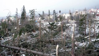 FOTO: Tatry sú preč, hovorili lesníci. Ničivá smršť brala aj životy, zmenila Slovensko aj štatistiky