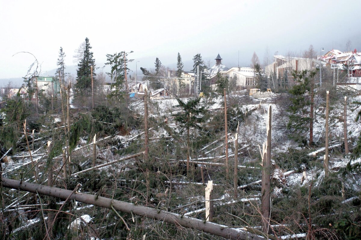 Na archívnej snímke ranný pohľad 20. novembra 2004 na vyčíňanie víchrice v Starom Smokovci. Živel si vyžiadal aj ľudskú obeť. Zraneniam podľahol cestujúci z auta, na ktoré v Hornom Smokovci spadol strom.  Tatry