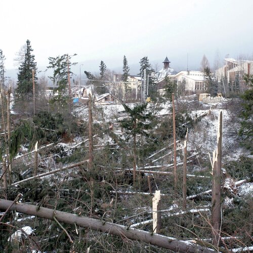 Na archívnej snímke ranný pohľad 20. novembra 2004 na vyčíňanie víchrice v Starom Smokovci. Živel si vyžiadal aj ľudskú obeť. Zraneniam podľahol cestujúci z auta, na ktoré v Hornom Smokovci spadol strom.  Tatry