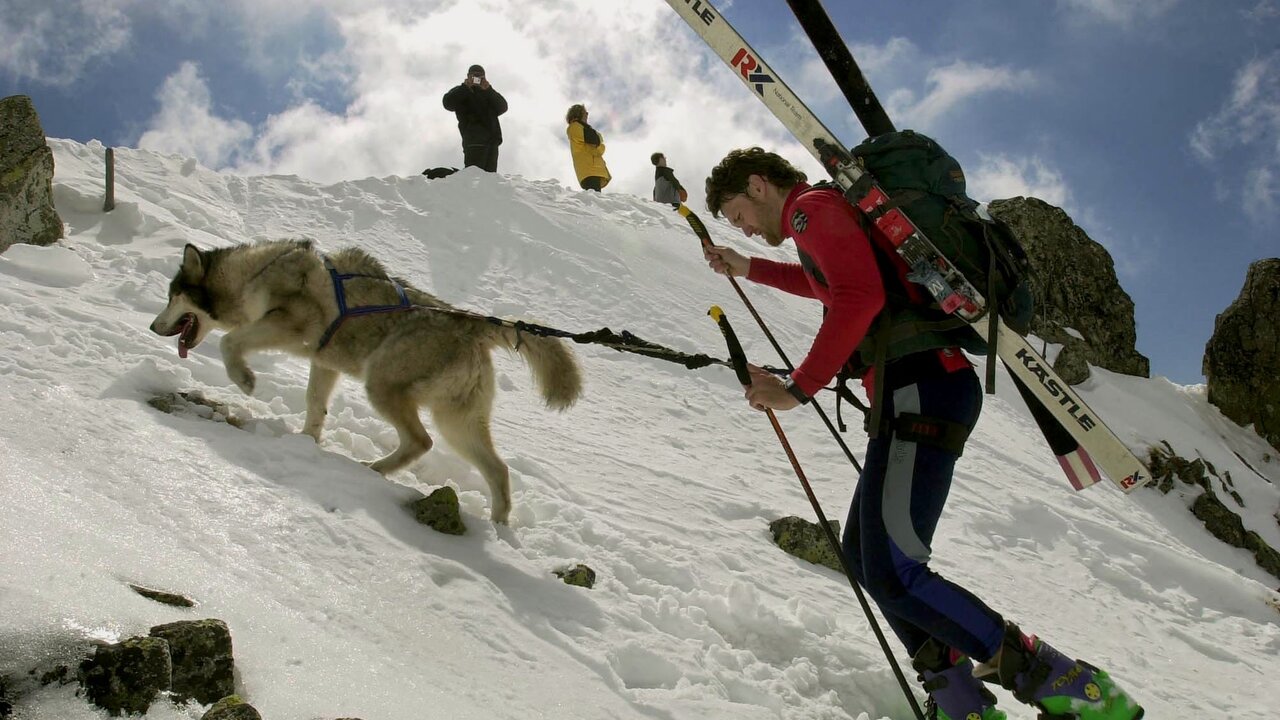 Skialp pes lyže hory 