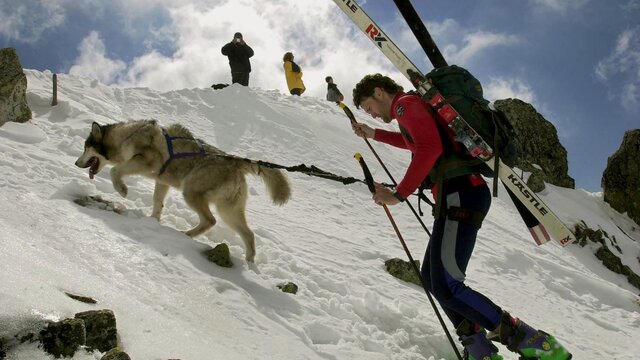 Skialp pes lyže hory 