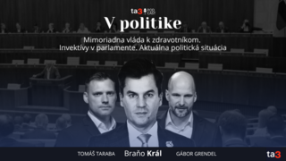 Podcast V politike (2).png