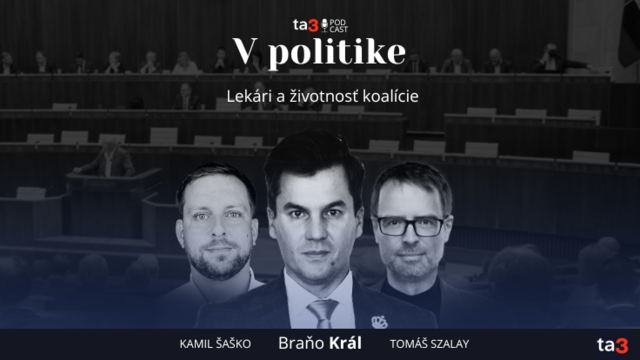 Podcast V politike (3).png