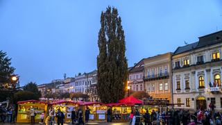 Vianočná linka pomoci či spoločná večera. Aj toto sú niektoré z iniciatív pre osamelých