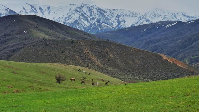 Kazachstan