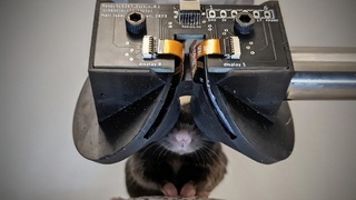 MouseGoggles_00.jpg