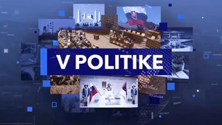 V politike (grafika)