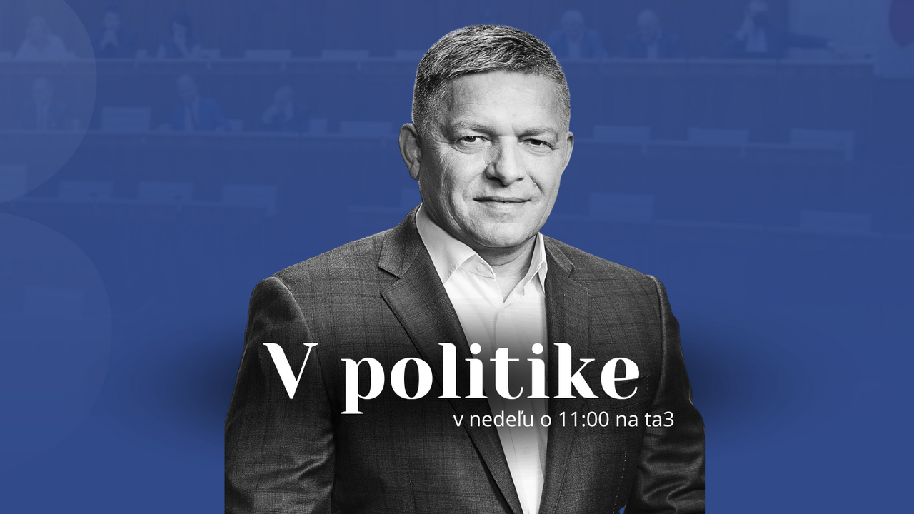 Fico V politike