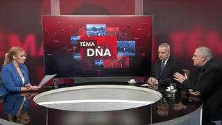 michelko tema dna