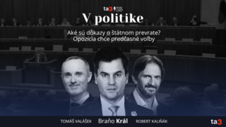 Podcast V politike (6).png