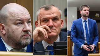 Mimoriadna schôdza: Parlament rokoval zrýchlene. Huliakovci majú blokačnú menšinu, tvrdí Michelko