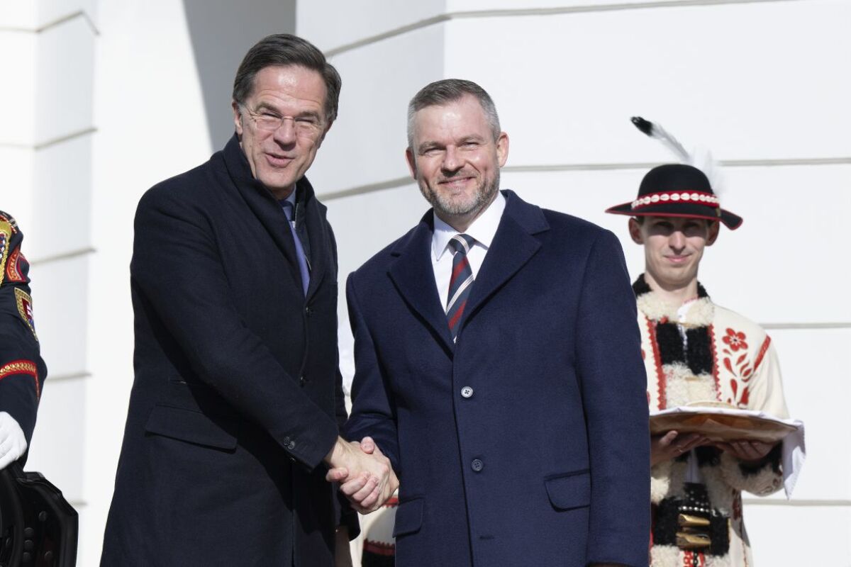 Rutte Pellegrini