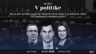 Podcast V politike (9).png