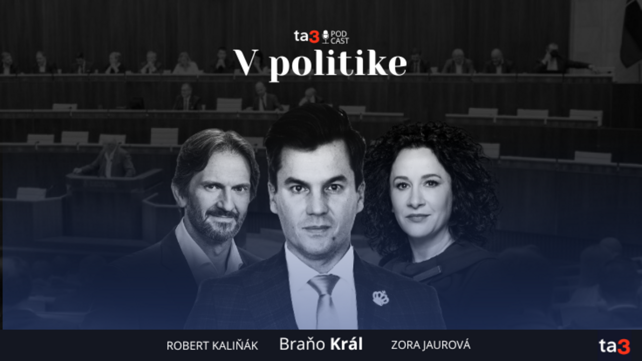 Podcast V politike (15).png