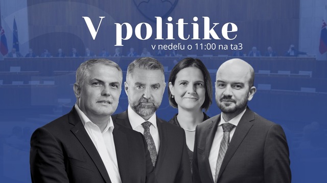 v politike