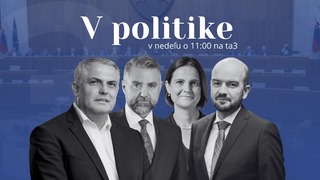 v politike