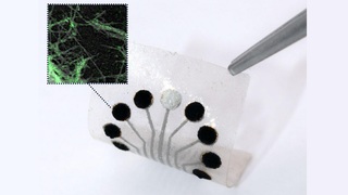 Biosenz_metabol_00.jpg