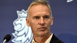 Dominik Hašek