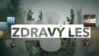 zdravy-les-grafika-nova