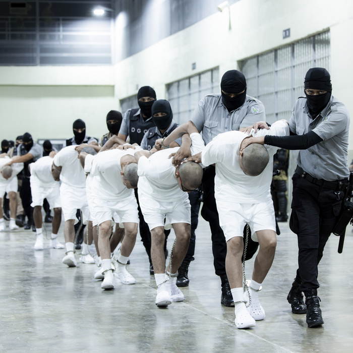 Deportation_Battle257188.jpg