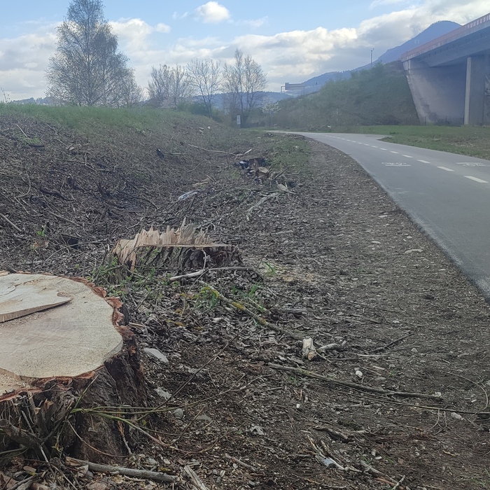 stromy výrub považská bystrica